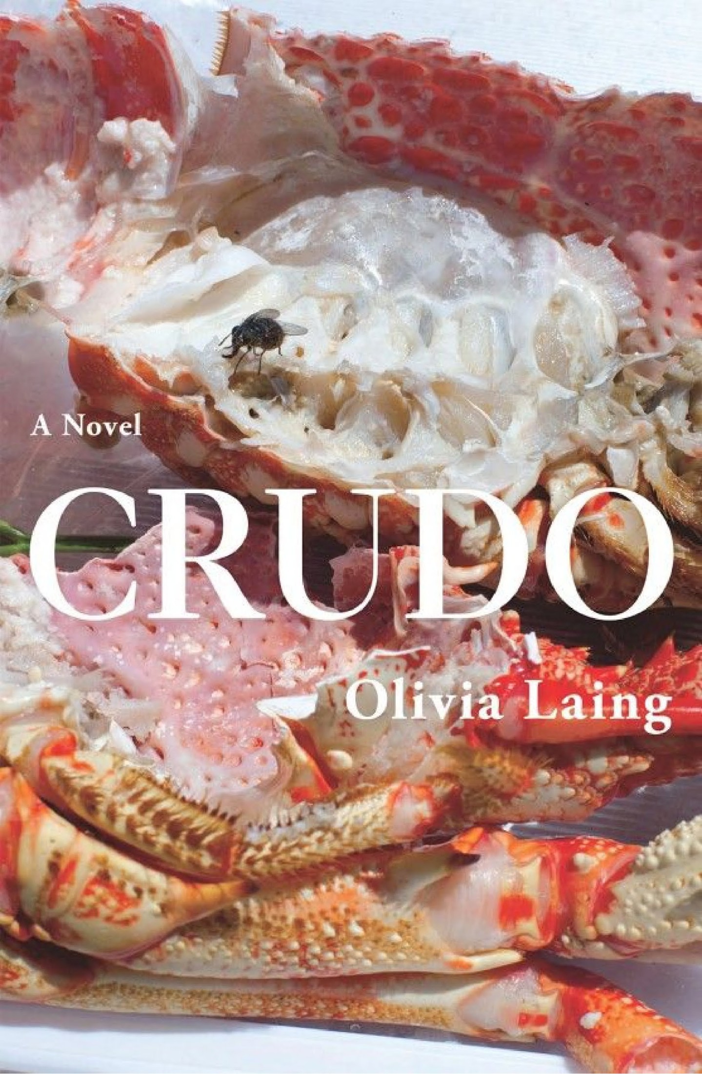Crudo